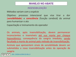INSENSIBILIZAÇÃO
- Métodos variam com a espécie
- Objetivo: processo intencional que visa tirar a dor
(sensibilidade) e consciência (função cerebral) do animal
para humanizar o ato
- Capacitação e treinamento do operador
- Os animais, após insensibilização, devem permanecer
inconscientes e insensíveis até sua morte por choque
hipovolêmico, consequência da sangria imediata, sendo
facultada a morte do animal pelo método de insensibilização.
- Animais que apresentem sinais de sensibilidade devem ser
submetidos a nova insensibilização antes da operação de
sangria
MANEJO NO ABATE
DRA. CÁSSIAALDRIN DE MELLO
 