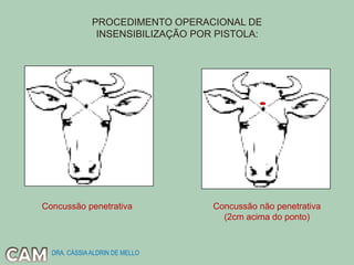 PROCEDIMENTO OPERACIONAL DE
INSENSIBILIZAÇÃO POR PISTOLA:
Concussão não penetrativa
(2cm acima do ponto)
Concussão penetrativa
DRA. CÁSSIAALDRIN DE MELLO
 