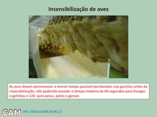 Insensibilização de aves
As aves devem permanecer o menor tempo possível penduradas nos ganchos antes da
insensibilização, não podendo exceder o tempo máximo de 60 segundos para frangos
e galinhas e 120 para perus, patos e gansos
DRA. CÁSSIAALDRIN DE MELLO
 