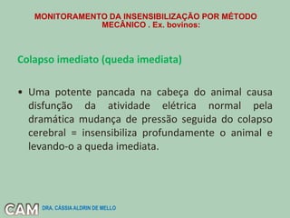 MONITORAMENTO DA INSENSIBILIZAÇÃO POR MÉTODO
MECÂNICO . Ex. bovinos:
Colapso imediato (queda imediata)
• Uma potente pancada na cabeça do animal causa
disfunção da atividade elétrica normal pela
dramática mudança de pressão seguida do colapso
cerebral = insensibiliza profundamente o animal e
levando-o a queda imediata.
DRA. CÁSSIA ALDRIN DE MELLO
 