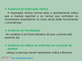  Ausência de respiração rítmica
- A respiração rítmica normal após o atordoamento indica
que a medula espinhal e os nervos que controlam os
movimentos respiratórios no corpo ainda estão funcionando
( consciência)
 Ausência de Vocalização
-Se vocalizar é um forte indicativo de que o animal está
sentindo dor
 Ausência de reflexo de endireitar-se/ correção de
postura
- cabeça e pescoço devem apresentar soltos e flexíveis
DRA. CÁSSIA ALDRIN DE MELLO
 
