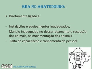 • Diretamente ligado à:
- Instalações e equipamentos inadequados,
- Manejo inadequado no descarregamento e recepção
dos animais, na movimentação dos animais
- Falta de capacitação e treinamento de pessoal
BEA no ABATEdouro:
DRA. CÁSSIAALDRIN DE MELLO
 