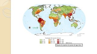 Riqueza de espécies de peixes de água doce
 