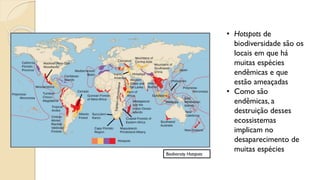 Biodiversity Hotspots
• Hotspots de
biodiversidade são os
locais em que há
muitas espécies
endêmicas e que
estão ameaçadas
• Como são
endêmicas, a
destruição desses
ecossistemas
implicam no
desaparecimento de
muitas espécies
 