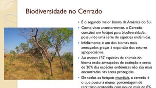 Biodiversidade no Cerrado
 É o segundo maior bioma da América do Sul.
 Como visto anteriormente, o Cerrado
constitui um hotspot para biodiversidade,
possuindo uma série de espécies endêmicas.
 Infelizmente, é um dos biomas mais
ameaçados graças à expansão dos setores
agropecuários.
 Ao menos 137 espécies de animais do
bioma estão ameaçados de extinção e cerca
de 20% das espécies endêmicas não são mais
encontradas nas áreas protegidas.
 De todos os hotspots mundiais, o cerrado é
o que possui a menor porcentagem de
 
