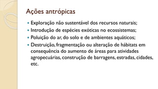 Ações antrópicas
 Exploração não sustentável dos recursos naturais;
 Introdução de espécies exóticas no ecossistemas;
 Poluição do ar, do solo e de ambientes aquáticos;
 Destruição, fragmentação ou alteração de hábitats em
consequência do aumento de áreas para atividades
agropecuárias, construção de barragens, estradas, cidades,
etc.
 