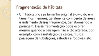 Fragmentação de hábitats
 Um hábitat no seu tamanho original é dividido em
tamanhos menores, geralmente com perda de áreas
e isolamento desses fragmentos, transformando a
paisagem. E essa fragmentação pode ocorrer
mesmo quando a paisagem não é tão alterada, por
exemplo, com a instalação de cercas, muros,
passagem de tubulações, estradas e rodovias, etc.
 