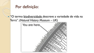 Por definição:
 “O termo biodiversidade descreve a variedade de vida na
Terra”. (Natural History Museum – UK)
 
