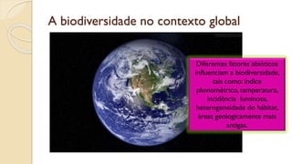 A biodiversidade no contexto global
Diferentes fatores abióticos
influenciam a biodiversidade,
tais como: índice
pluviométrico, temperatura,
incidência luminosa,
heterogeneidade do hábitat,
áreas geologicamente mais
antigas.
 