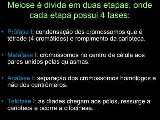 Meiose é divida em duas etapas, onde
cada etapa possui 4 fases:
• Prófase I: condensação dos cromossomos que é
tétrade (4 cromátides) e rompimento da carioteca.
• Metáfase I: cromossomos no centro da célula aos
pares unidos pelas quiasmas.
• Anáfase I: separação dos cromossomos homólogos e
não dos centrômeros.
• Telófase I: as díades chegam aos pólos, ressurge a
carioteca e ocorre a citocinese.
 