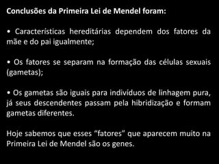 Conclusões da Primeira Lei de Mendel foram:
• Características hereditárias dependem dos fatores da
mãe e do pai igualmente;
• Os fatores se separam na formação das células sexuais
(gametas);
• Os gametas são iguais para indivíduos de linhagem pura,
já seus descendentes passam pela hibridização e formam
gametas diferentes.
Hoje sabemos que esses “fatores” que aparecem muito na
Primeira Lei de Mendel são os genes.
 