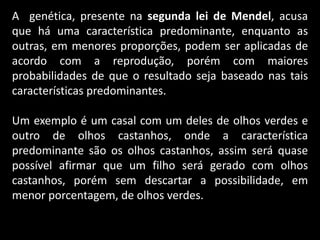 A genética, presente na segunda lei de Mendel, acusa
que há uma característica predominante, enquanto as
outras, em menores proporções, podem ser aplicadas de
acordo com a reprodução, porém com maiores
probabilidades de que o resultado seja baseado nas tais
características predominantes.
Um exemplo é um casal com um deles de olhos verdes e
outro de olhos castanhos, onde a característica
predominante são os olhos castanhos, assim será quase
possível afirmar que um filho será gerado com olhos
castanhos, porém sem descartar a possibilidade, em
menor porcentagem, de olhos verdes.
 