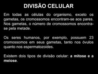 DIVISÃO CELULAR
Em todas as células do organismo, exceto os
gametas, os cromossomos encontram-se aos pares.
Nos gametas, o número de cromossomos encontra-
se pela metade.
Os seres humanos, por exemplo, possuem 23
cromossomos em seus gametas, tanto nos óvulos
quanto nos espermatozoides.
Existem dois tipos de divisão celular: a mitose e a
meiose.
 