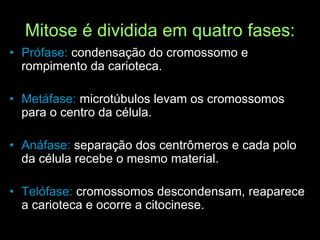 Mitose é dividida em quatro fases:
• Prófase: condensação do cromossomo e
rompimento da carioteca.
• Metáfase: microtúbulos levam os cromossomos
para o centro da célula.
• Anáfase: separação dos centrômeros e cada polo
da célula recebe o mesmo material.
• Telófase: cromossomos descondensam, reaparece
a carioteca e ocorre a citocinese.
 