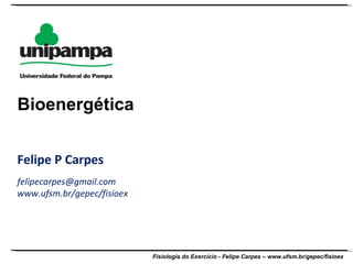 Felipe P Carpes [email_address] www.ufsm.br/gepec/fisioex Bioenergética 