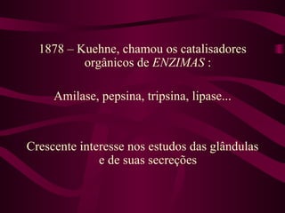 1878 – Kuehne, chamou os catalisadores
          orgânicos de ENZIMAS :

     Amilase, pepsina, tripsina, lipase...


Crescente interesse nos estudos das glândulas
              e de suas secreções
 