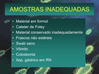 AMOSTRAS INADEQUADASMaterial em formolCateter de FoleyMaterial conservado inadequadamenteFrascos não estéreisSwab secoVômitoColostomiaAsp. gástrico em RN