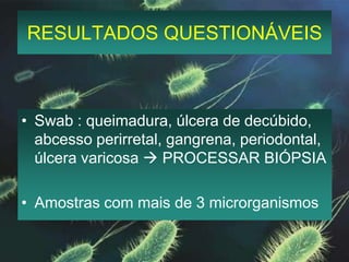 RESULTADOS QUESTIONÁVEISSwab : queimadura, úlcera de decúbido, abcesso perirretal, gangrena, periodontal, úlcera varicosa  PROCESSAR BIÓPSIAAmostras com mais de 3 microrganismos