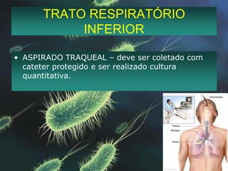 TRATO RESPIRATÓRIO INFERIORASPIRADO TRAQUEAL – deve ser coletado com cateter protegido e ser realizado cultura quantitativa. 