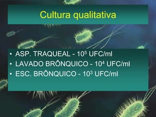 Cultura qualitativaASP. TRAQUEAL - 105 UFC/ml LAVADO BRÔNQUICO - 104 UFC/mlESC. BRÔNQUICO - 103 UFC/ml