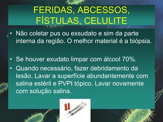 FERIDAS, ABCESSOS, FÍSTULAS, CELULITENão coletar pus ou exsudato e sim da parte interna da região. O melhor material é a biópsia.Se houver exudato limpar com álcool 70%. Quando necessário, fazer debridamento da lesão. Lavar a superfície abundantemente com salina estéril e PVPI tópico. Lavar novamente com solução salina. 
