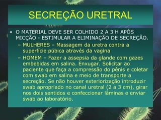 COLETA DE QUEIMADOSDEBRIDAMENTO DAS LESÕES;VÁRIAS BIÓPSIAS DE ÁREAS DISTINTAS;CULTURA QUANTITATIVA
