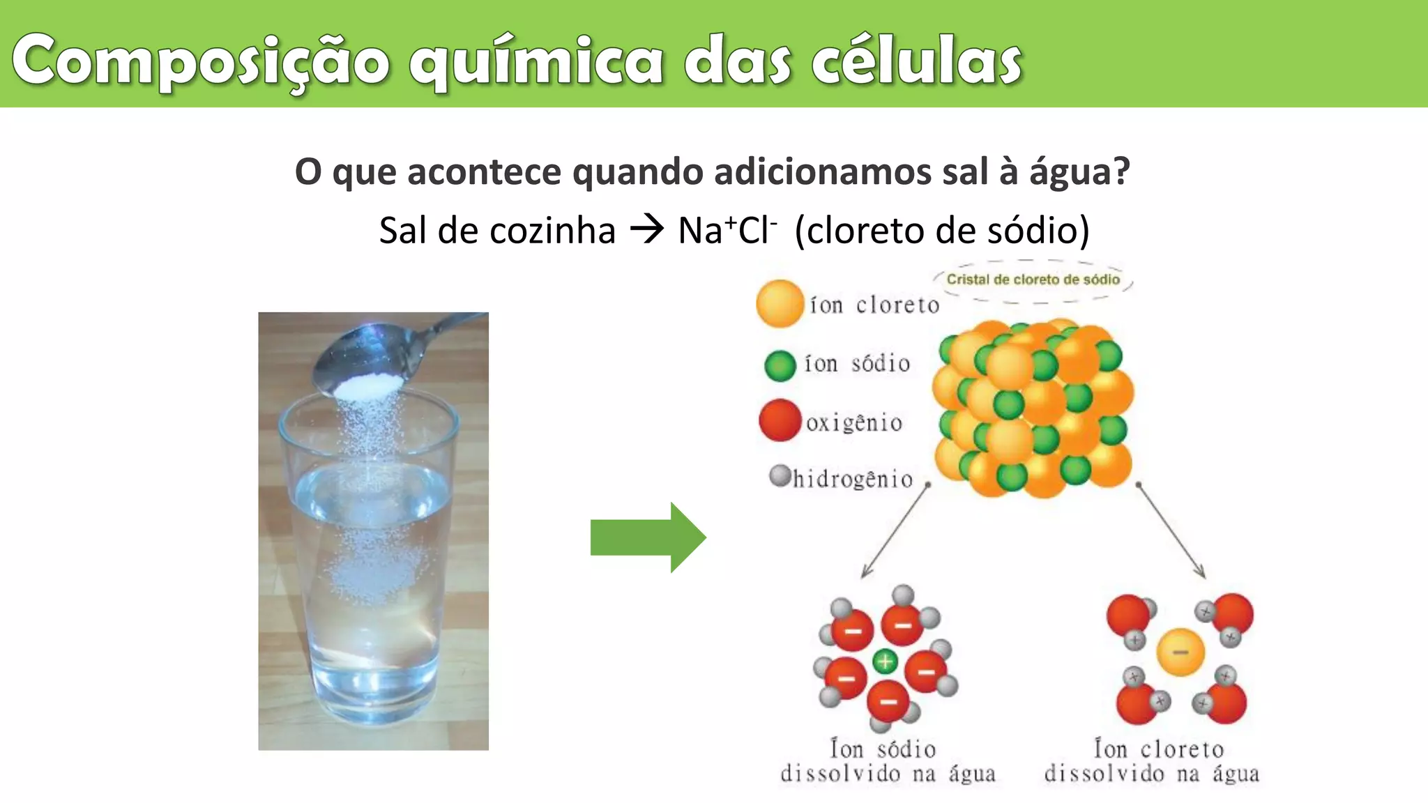 Aula 2 composição química das células | PDF