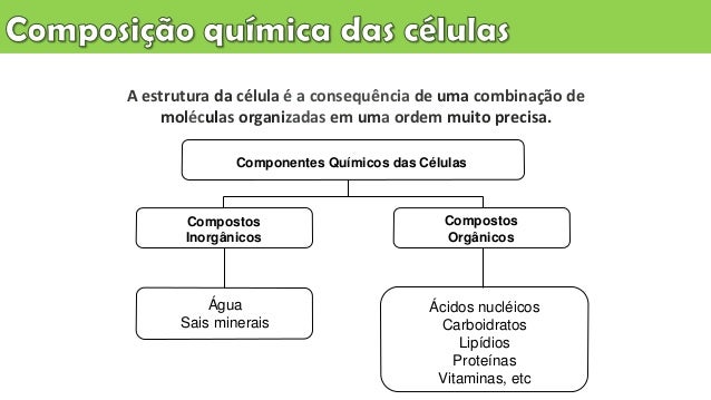 Composição Quimica Da Celula : Células: o que são e quais são suas ...