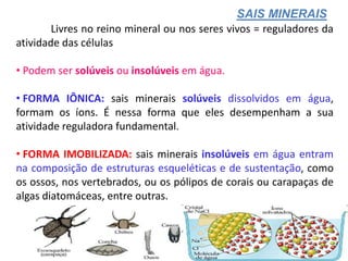 SAIS MINERAIS
        Livres no reino mineral ou nos seres vivos = reguladores da
atividade das células

• Podem ser solúveis ou insolúveis em água.

• FORMA IÔNICA: sais minerais solúveis dissolvidos em água,
formam os íons. É nessa forma que eles desempenham a sua
atividade reguladora fundamental.

• FORMA IMOBILIZADA: sais minerais insolúveis em água entram
na composição de estruturas esqueléticas e de sustentação, como
os ossos, nos vertebrados, ou os pólipos de corais ou carapaças de
algas diatomáceas, entre outras.
 