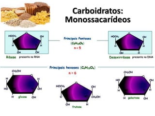Carboidratos:
Monossacarídeos
 