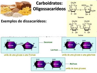 Carboidratos:
                  Oligossacarídeos

Exemplos de dissacarídeos:
 