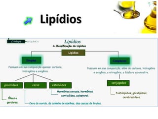 Lipídios
 