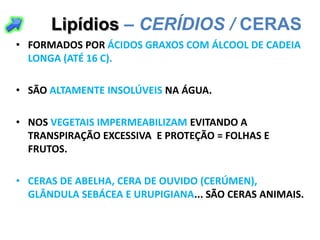 Lipídios – CERÍDIOS / CERAS
• FORMADOS POR ÁCIDOS GRAXOS COM ÁLCOOL DE CADEIA
  LONGA (ATÉ 16 C).

• SÃO ALTAMENTE INSOLÚVEIS NA ÁGUA.

• NOS VEGETAIS IMPERMEABILIZAM EVITANDO A
  TRANSPIRAÇÃO EXCESSIVA E PROTEÇÃO = FOLHAS E
  FRUTOS.

• CERAS DE ABELHA, CERA DE OUVIDO (CERÚMEN),
  GLÂNDULA SEBÁCEA E URUPIGIANA... SÃO CERAS ANIMAIS.
 