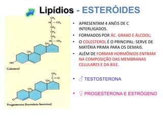 Lipídios - ESTERÓIDES
      • APRESENTAM 4 ANÉIS DE C
        INTERLIGADOS.
      • FORMADOS POR ÁC. GRAXO E ÁLCOOL;
      • O COLESTEROL É O PRINCIPAL: SERVE DE
        MATÉRIA PRIMA PARA OS DEMAIS.
      • ALÉM DE FORMAR HORMÔNIOS ENTRAM
        NA COMPOSIÇÃO DAS MEMBRANAS
        CELULARES E DA BILE.


      • ♂ TESTOSTERONA

      • ♀ PROGESTERONA E ESTRÓGENO
 
