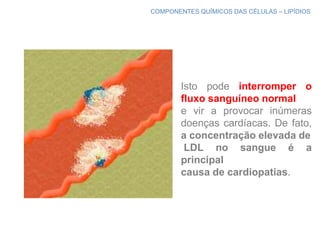 COMPONENTES QUÍMICOS DAS CÉLULAS – LIPÍDIOS




        Isto pode interromper o
        fluxo sanguíneo normal
        e vir a provocar inúmeras
        doenças cardíacas. De fato,
        a concentração elevada de
         LDL no sangue é a
        principal
        causa de cardiopatias.
 