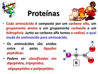 Proteínas
• Cada aminoácido é composto por um carbono alfa, um
  grupamento amina e um grupamento carboxila e um
  hidrogênio. Junto ao carbono alfa temos o radical, o qual
  muda de aminoácido para aminoácido.
• Os aminoácidos são unidos
  entre    si    pelas   ligações
  peptídicas.
• Podem ser classificados em
  dipeptídeo, tripeptídeo,
  oligopeptídeo e polipeptídeo.
 