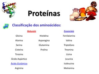 Proteínas
 Classificação dos aminoácidos:
                  Naturais                Essenciais
    Glicina                   Histidina   Fenilalanina
    Alanina                  Asparagina     Valina
    Serina                   Glutamina    Triptofano
   Cisteína                   Prolina      Treonina
   Tirosina                                  Lisina
Ácido Aspártico                             Leucina
Ácido Glutâmico                           Isoleucina
   Arginina                               Metionina
 