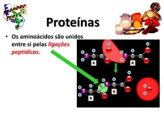 Proteínas
• Os aminoácidos são unidos
  entre si pelas ligações
  peptídicas.
 
