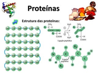 Proteínas
Estrutura das proteínas:
 