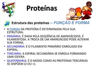 Proteínas
    Estrutura das proteínas – FUNÇÃO E FORMA
• A FORMA DA PROTEÍNA É DETERMINADA PELA SUA
  ESTRUTURA:
• PRIMÁRIA: É DADA PELA SEQÜÊNCIA DE AMINOÁCIDOS. É
  FILAMENTOSA. A TROCA DE UM AMINOÁCIDO PODE ALTERAR
  SUA FORMA.
• SECUNDÁRIA: É O FILAMENTO PRIMÁRIO ENROLADO EM
  ESPIRAL.
• TERCIARIA: A ESPIRAL SECUNDÁRIA SE ENROLA FORMANDO
  UMA ESFERA.
• QUATERNARIA: É O MODO COMO AS PROTEÍNAS TERCIÁRIAS
  SE DISPÕEM (2 OU +).
 