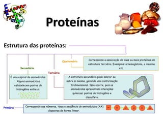 Proteínas
Estrutura das proteínas:
 