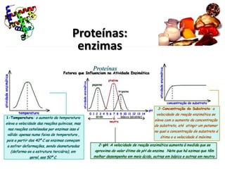 Proteínas:
 enzimas
 