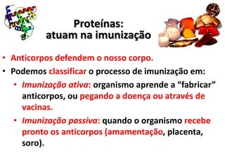 Proteínas:
          atuam na imunização
• Anticorpos defendem o nosso corpo.
• Podemos classificar o processo de imunização em:
   • Imunização ativa: organismo aprende a “fabricar”
     anticorpos, ou pegando a doença ou através de
     vacinas.
   • Imunização passiva: quando o organismo recebe
     pronto os anticorpos (amamentação, placenta,
     soro).
 