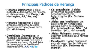 Principais Padrões de Herança
• Herança Dominante: 1 alelo
mutante é dominante em relação
ao alelo normal. (Ex. Doença de
Huntington, AA, Aa; aa)
• Herança Recessiva: 1 alelo
alterado comporta-se como
recessivo em relação ao outro.
(Ex. Albinismo)
• Dominância Incompleta: o
fenótipo depende do “produto
gênico” das células (AA tem o
dobro de material do Aa). Nos
heterozigotos o fenótipo é
intermediário. AA; Aa; aa
• Co-dominância: 2 alelos
diferentes se expressam
fenotipicamente no
heterozigoto. (Ex. Sistema
ABO)
• Alelos com letalidade: um
alelo letal em homozigose
causa a morte do indivíduo.
(Ex. Acondroplasia, DD+; Dd
fenótipo típico; dd normal)
• Alelos Múltiplos: genes que
ocorrem com mais de 2 formas
alélicas.
• Pleiotropia: 1 gene condiciona
mais de uma característica no
indivíduo. (Ex. Síndrome de
Marfan)
 