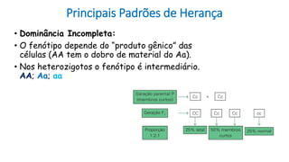 Principais Padrões de Herança
• Dominância Incompleta:
• O fenótipo depende do “produto gênico” das
células (AA tem o dobro de material do Aa).
• Nos heterozigotos o fenótipo é intermediário.
AA; Aa; aa
 