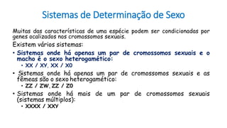 Sistemas de Determinação de Sexo
Muitas das características de uma espécie podem ser condicionadas por
genes ocalizados nos cromossomos sexuais.
Existem vários sistemas:
• Sistemas onde há apenas um par de cromossomos sexuais e o
macho é o sexo heterogamético:
• XX / XY, XX / X0
• Sistemas onde há apenas um par de cromossomos sexuais e as
fêmeas são o sexo heterogamético:
• ZZ / ZW, ZZ / Z0
• Sistemas onde há mais de um par de cromossomos sexuais
(sistemas múltiplos):
• XXXX / XXY
 