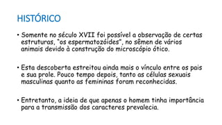 HISTÓRICO
• Somente no século XVII foi possível a observação de certas
estruturas, “os espermatozóides”, no sêmen de vários
animais devido à construção do microscópio ótico.
• Esta descoberta estreitou ainda mais o vínculo entre os pais
e sua prole. Pouco tempo depois, tanto as células sexuais
masculinas quanto as femininas foram reconhecidas.
• Entretanto, a ideia de que apenas o homem tinha importância
para a transmissão dos caracteres prevalecia.
 