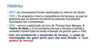 Histórico
• 1877- os cromossomos foram visualizados no interior do núcleo
• 1903 – foi proposta a teoria cromossômica da herança, na qual se
postulava que os fatores hereditários estavam fisicamente
localizados nos cromossomos.
• 1926 – ocorre a publicação do livro de Thomas Hunt Morgan, A
Teoria do Gene, e ficou estabelecido que a herança é devida a
unidades transmitidas de modo ordenado do genitor para o filho.
• Uma vez estabelecido o mecanismo de herança, o campo de
investigações dos genes partiu para uma nova direção: a “base
química da herança”.
 