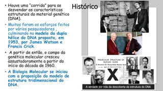 • Houve uma “corrida” para se
desvendar as características
estruturais do material genético
(DNA).
• Muitos foram os esforços feitos
por vários pesquisadores ,
culminando no modelo da dupla
hélice do DNA proposto, em
1953, por James Watson e
Francis Crick.
• A partir de então, o campo da
genética molecular cresceu
assustadoramente a partir do
início da década de 1960.
• A Biologia Molecular se iniciou
com a proposição do modelo de
estrutura tridimenscional do
DNA.
Histórico
 