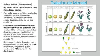 • Utilizou ervilhas (Pisum sativum).
• No estudo foram 7 características com
2 estados de caráter.
• Para todas as características analisadas,
a primeira geração híbrida (F1)
apresentou plantas que exibiam o
estado da característica de um dos
genitores.
• O que teria acontecido com algumas
das características dos parentais que
sumiram? Ele verificou que os estados
de caráter ausentes nos híbridos da
geração F1não eram perdidos; eles
ficavam encobertos, reaparecendo na
geração F2.
• Denominou o estado de caráter que
desaparecia na geração F1 de recessivo
(deprimida), enquanto o que se
mantinha na F1 foi denominado
dominante.
Trabalho de Mendel
 